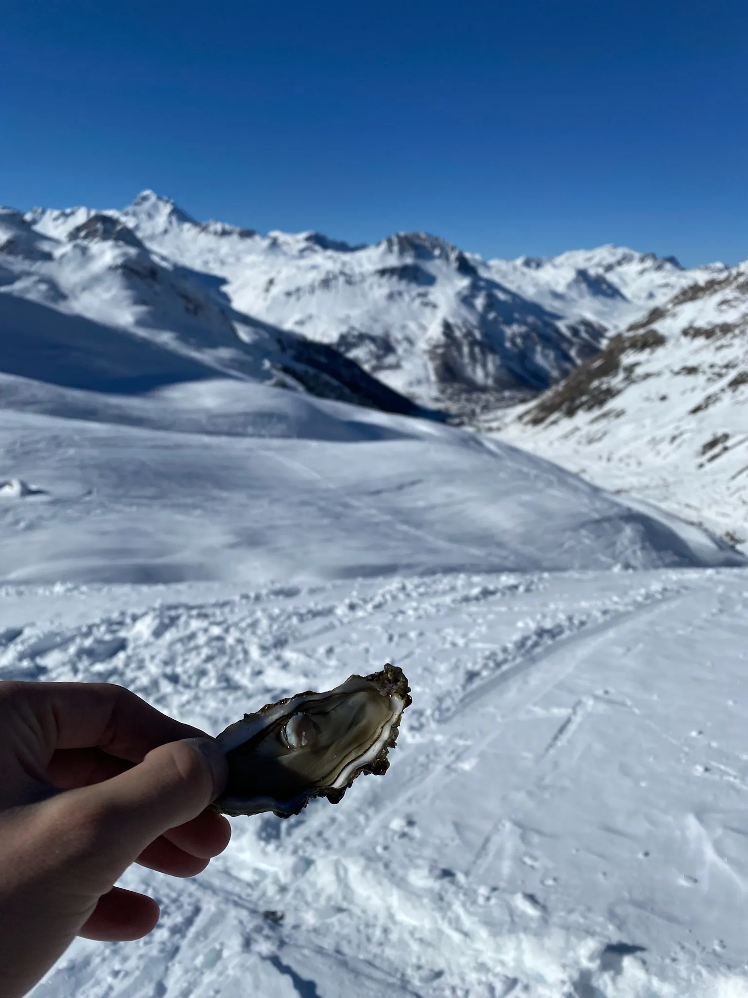 Gastronomie en montagne